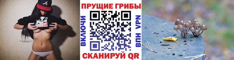 ОМГ ОМГ ONION  Чебоксары  Псилоцибиновые грибы прущие грибы 