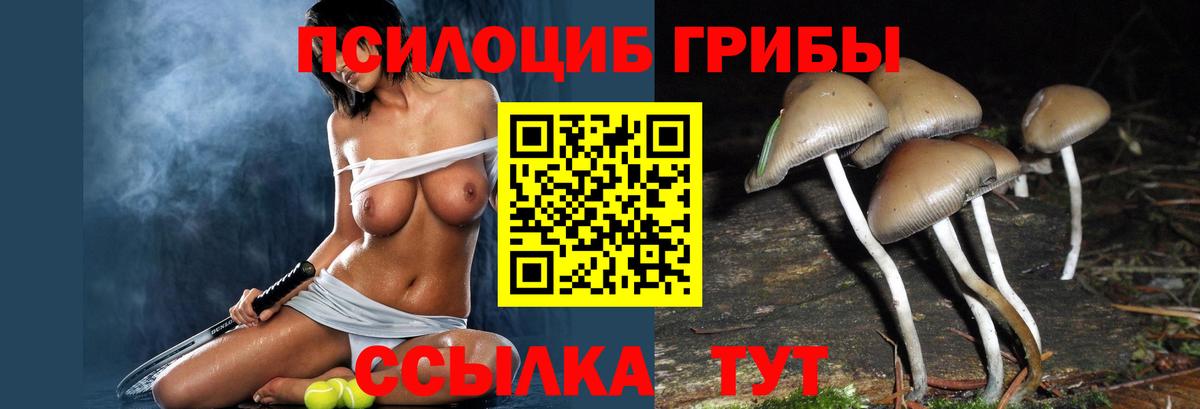 Псилоцибиновые грибы мухоморы Чебоксары
